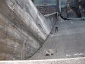 bild (29)
